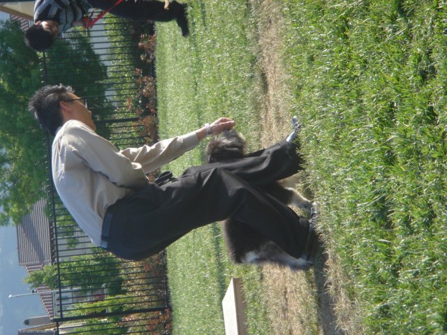 Photograph