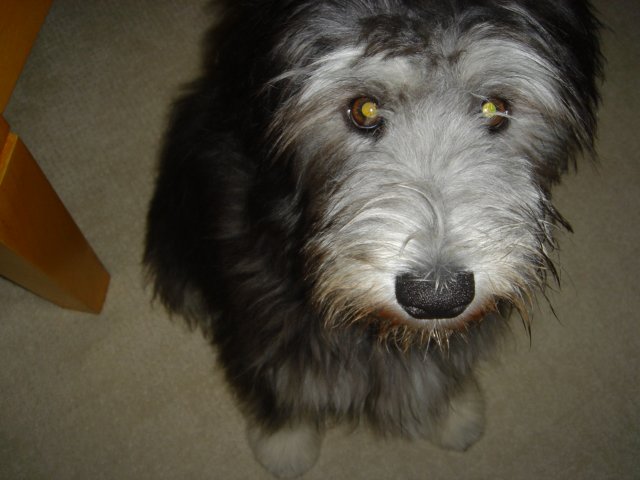 photo31.jpg