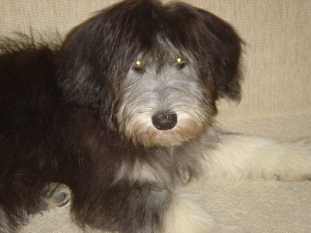 photo32.jpg
