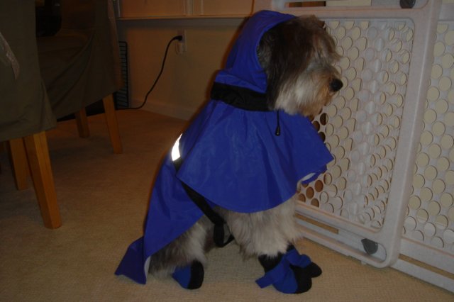 photo47.jpg