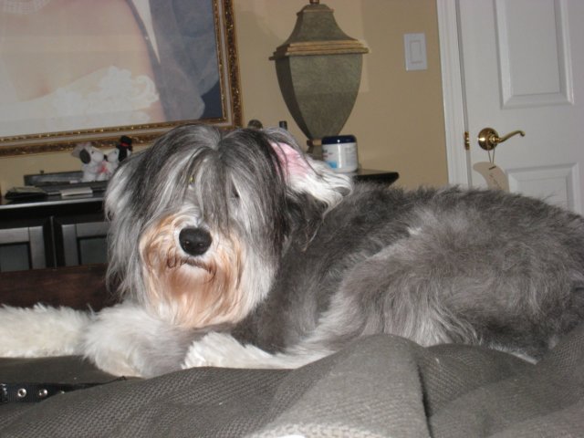 photo19.jpg