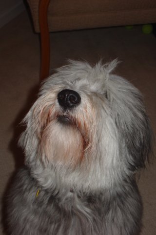 photo2.jpg
