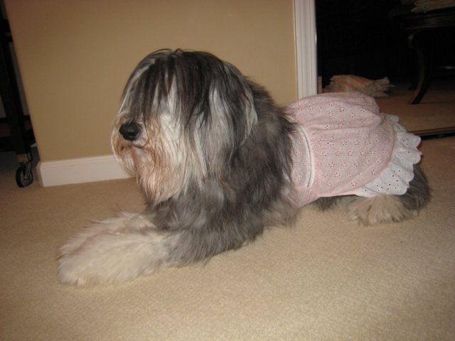 photo22.jpg