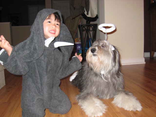 photo31.jpg