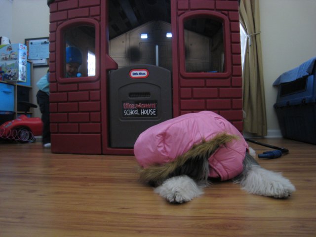 photo33.jpg