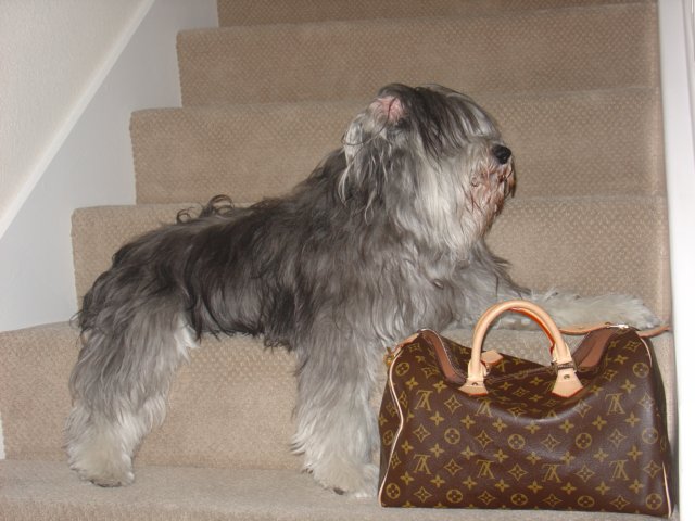 photo41.jpg